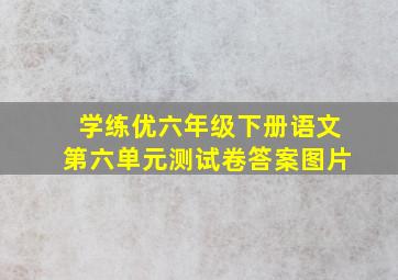 学练优六年级下册语文第六单元测试卷答案图片