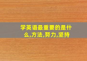 学英语最重要的是什么,方法,努力,坚持