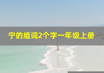 宁的组词2个字一年级上册