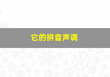 它的拼音声调