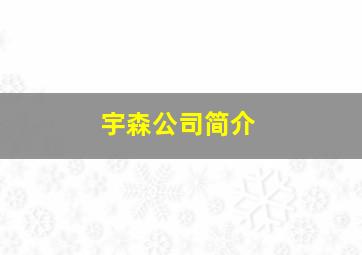 宇森公司简介