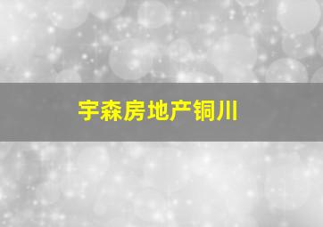 宇森房地产铜川