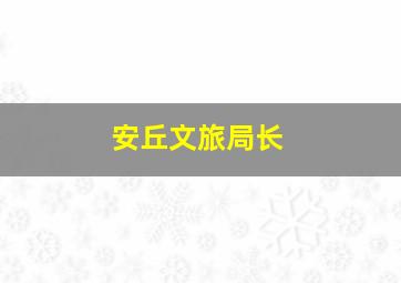 安丘文旅局长