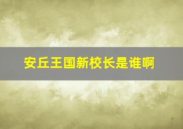 安丘王国新校长是谁啊