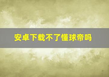 安卓下载不了懂球帝吗