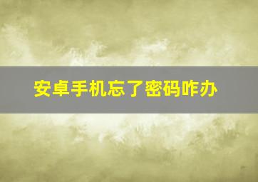 安卓手机忘了密码咋办