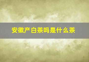 安徽产白茶吗是什么茶