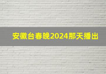 安徽台春晚2024那天播出