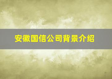 安徽国信公司背景介绍