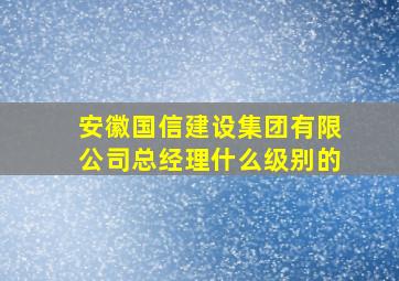 安徽国信建设集团有限公司总经理什么级别的