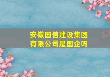 安徽国信建设集团有限公司是国企吗