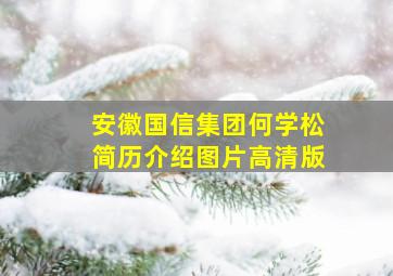 安徽国信集团何学松简历介绍图片高清版