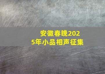 安徽春晚2025年小品相声征集