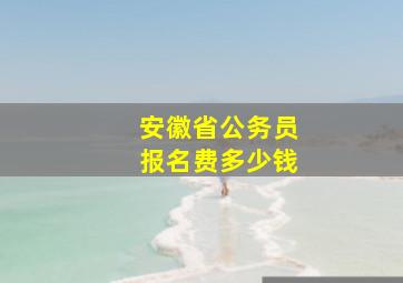 安徽省公务员报名费多少钱