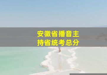 安徽省播音主持省统考总分