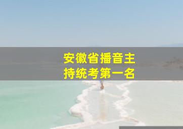 安徽省播音主持统考第一名