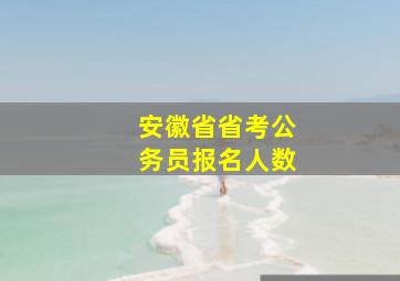 安徽省省考公务员报名人数