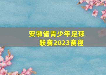 安徽省青少年足球联赛2023赛程