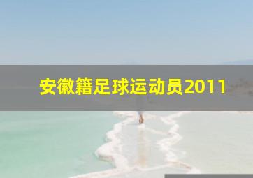 安徽籍足球运动员2011