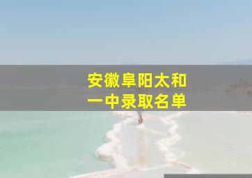 安徽阜阳太和一中录取名单