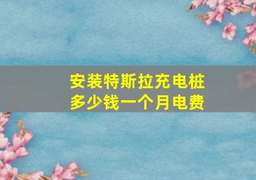 安装特斯拉充电桩多少钱一个月电费