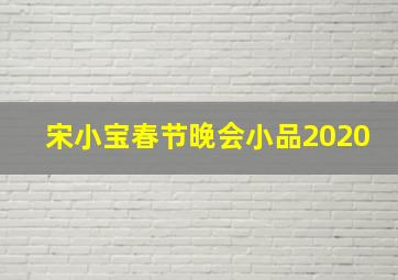 宋小宝春节晚会小品2020