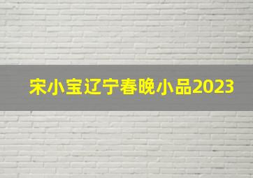 宋小宝辽宁春晚小品2023