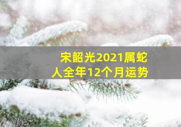 宋韶光2021属蛇人全年12个月运势