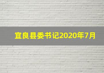 宜良县委书记2020年7月