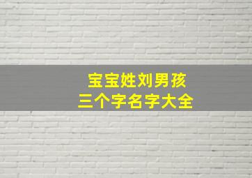 宝宝姓刘男孩三个字名字大全