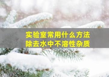 实验室常用什么方法除去水中不溶性杂质