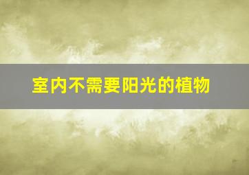 室内不需要阳光的植物