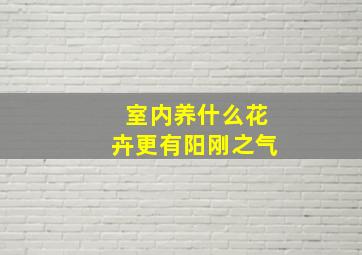 室内养什么花卉更有阳刚之气