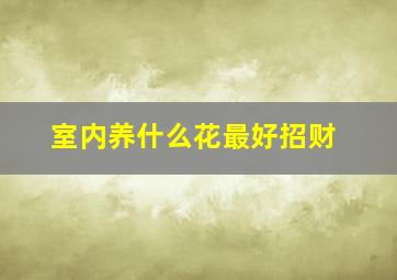 室内养什么花最好招财