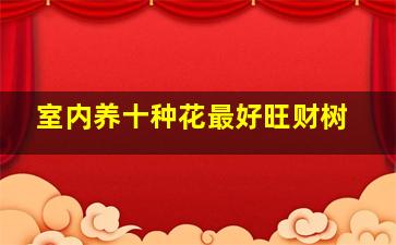 室内养十种花最好旺财树