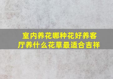 室内养花哪种花好养客厅养什么花草最适合吉祥