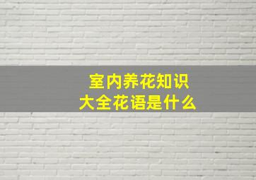 室内养花知识大全花语是什么