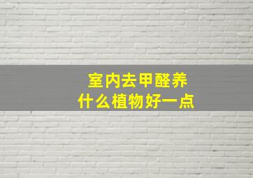 室内去甲醛养什么植物好一点