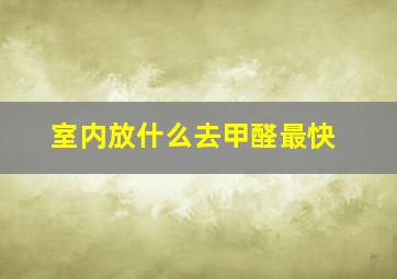 室内放什么去甲醛最快