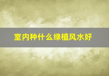 室内种什么绿植风水好