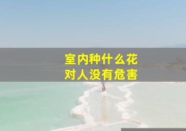 室内种什么花对人没有危害