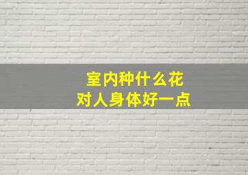 室内种什么花对人身体好一点