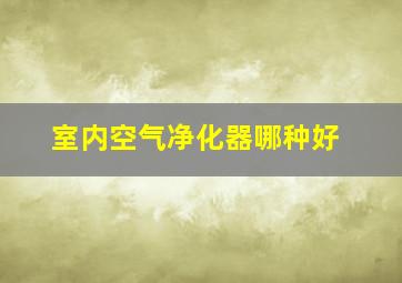 室内空气净化器哪种好