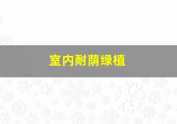 室内耐荫绿植