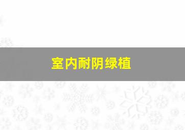 室内耐阴绿植