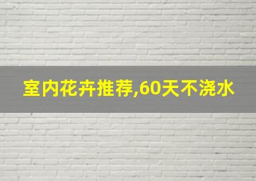 室内花卉推荐,60天不浇水