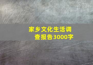 家乡文化生活调查报告3000字