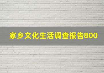 家乡文化生活调查报告800