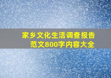 家乡文化生活调查报告范文800字内容大全