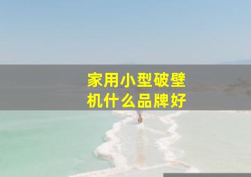 家用小型破壁机什么品牌好